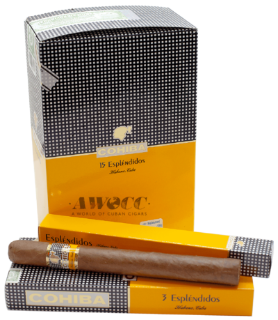 Cohiba Zigarrenaschenbecher Limoges - Hemmys finest Cigars